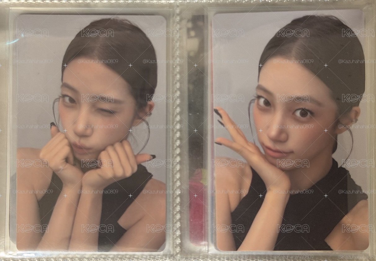 SC葉