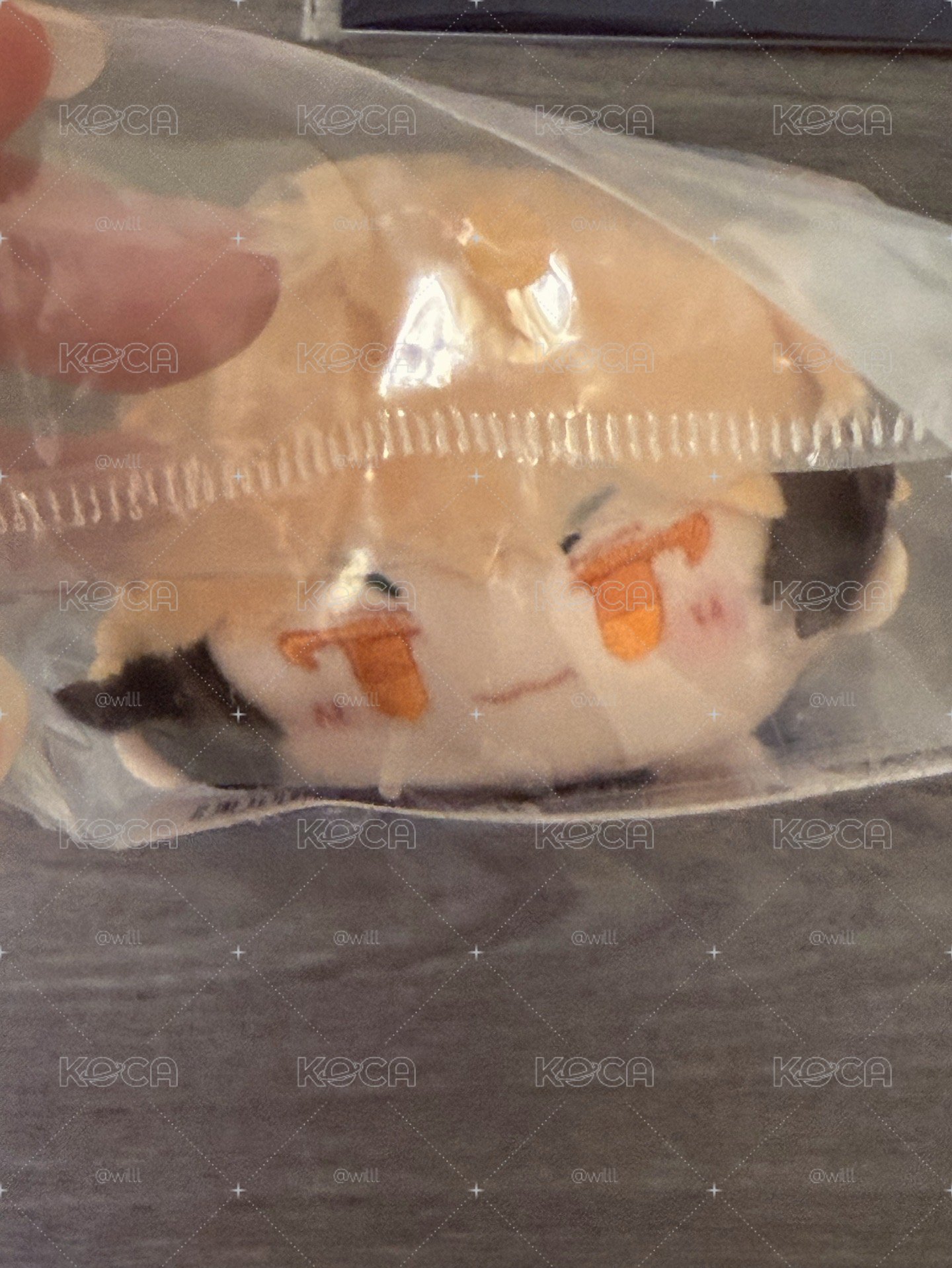 夏斐趴娃
