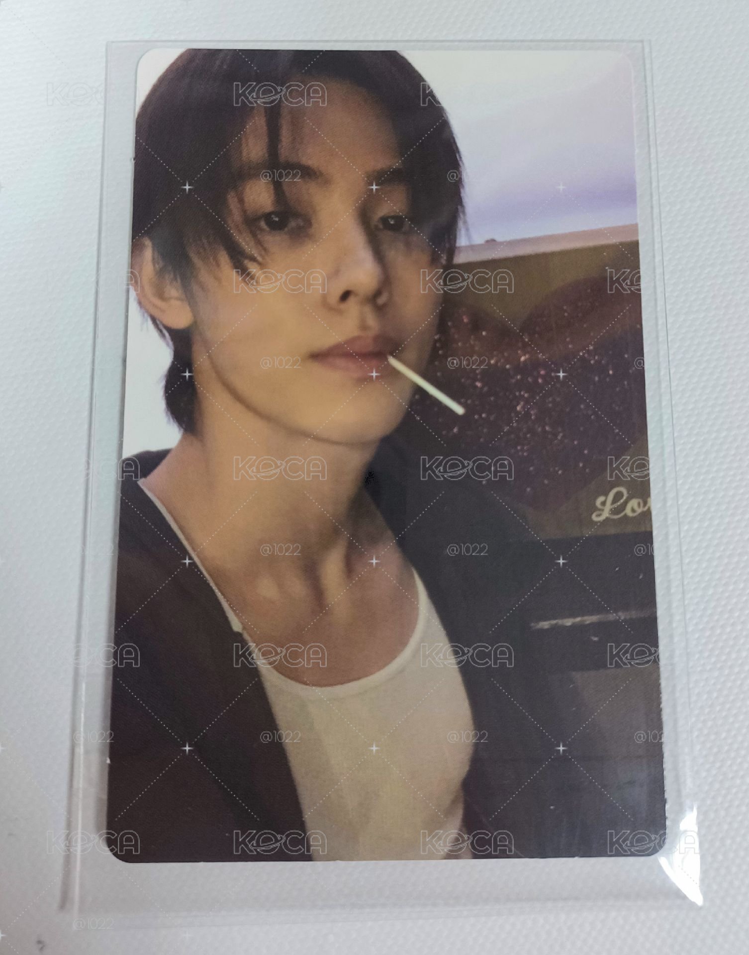 迷二 嚴成弦 電子專小卡