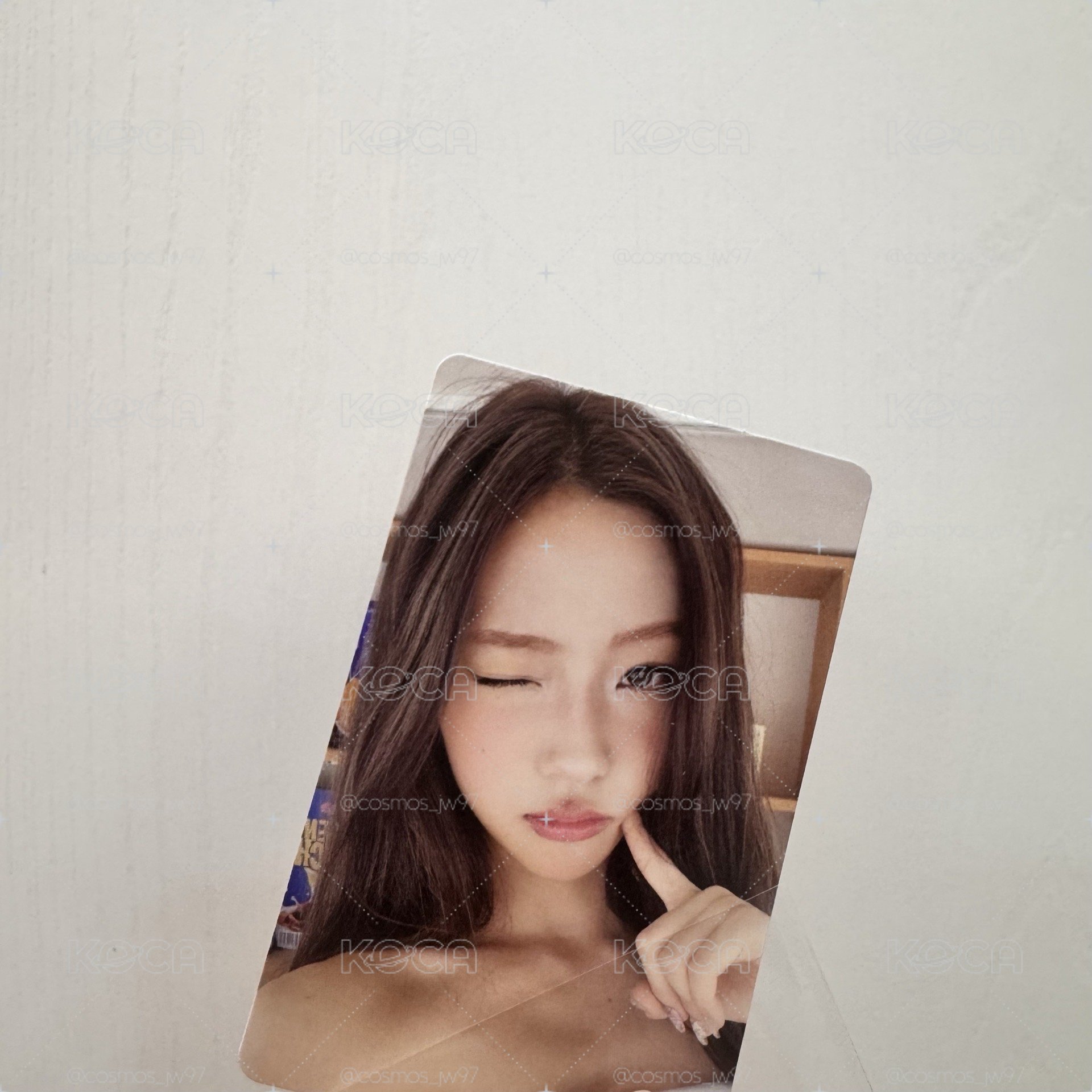 Stella專卡