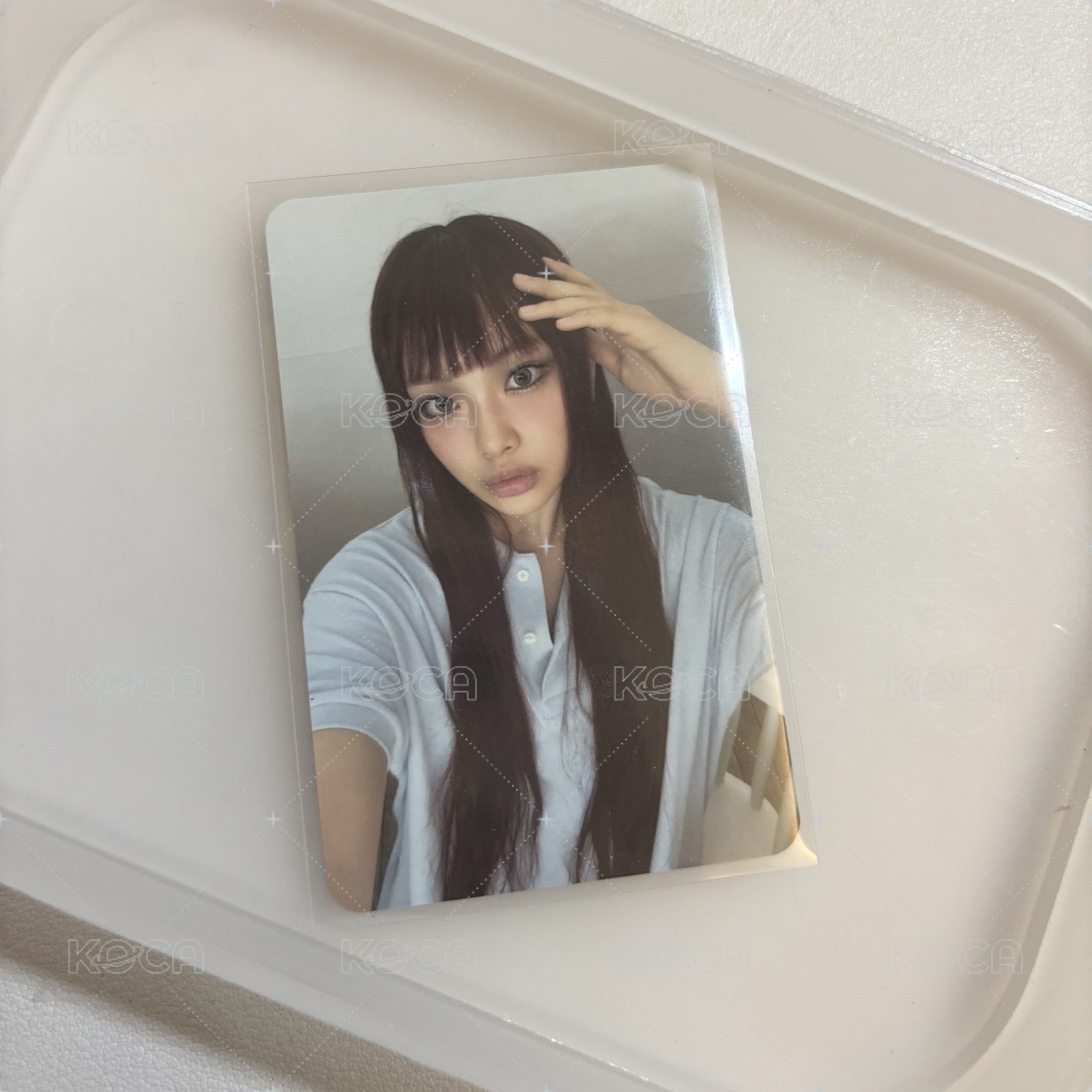 惠仁專輯卡