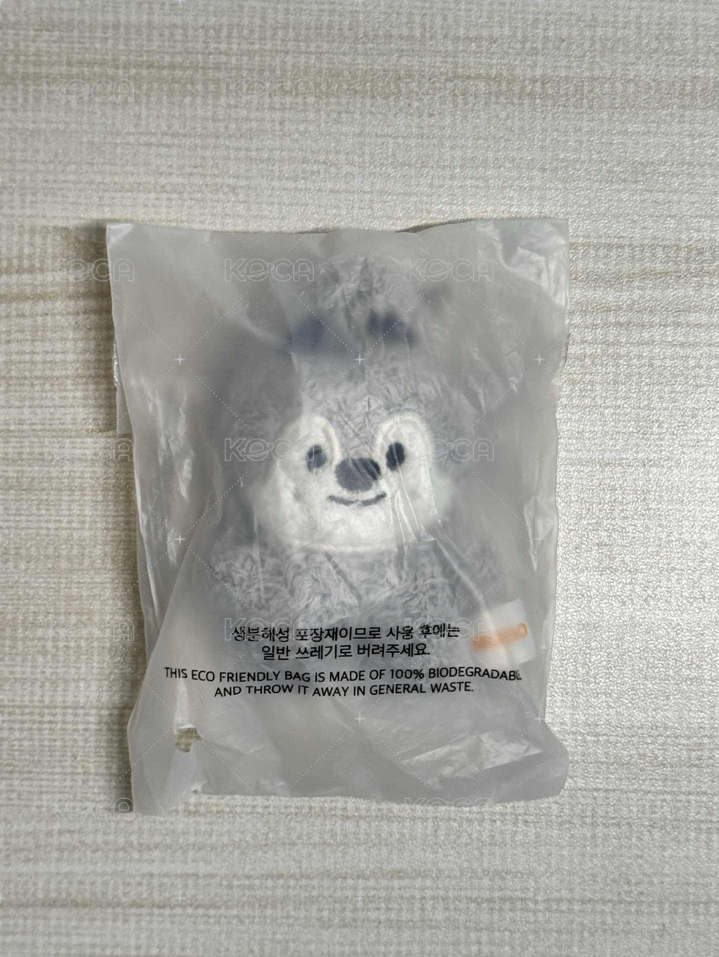 五期潦草娃 燦