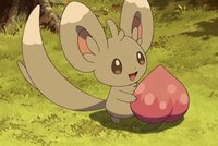 Grass