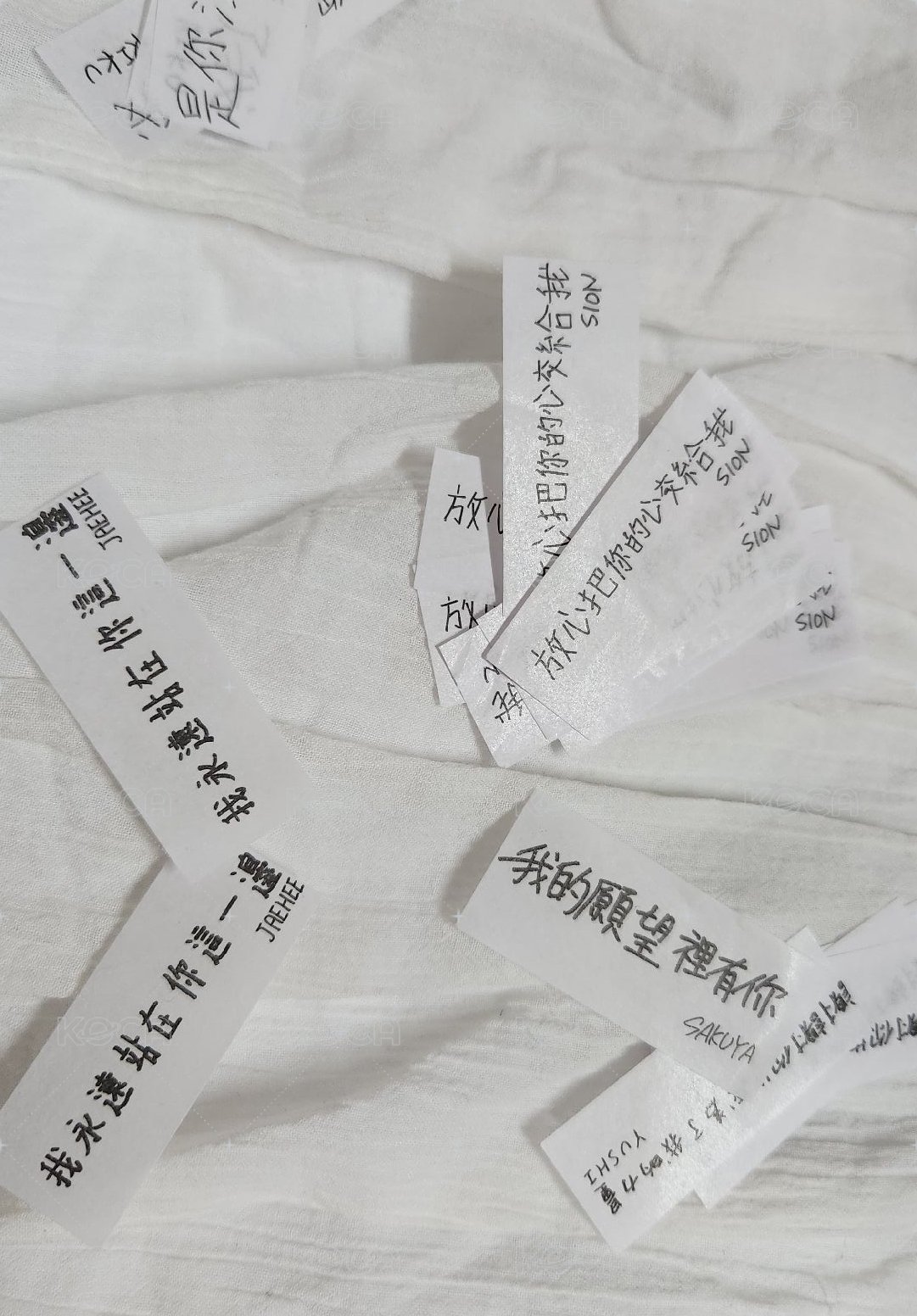 送 紙花（溫陸志樹）（自行備註想要成員，沒有備註則隨機）（不內退）