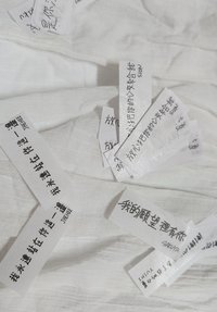 送 紙花（溫陸志樹）（自行備註想要成員，沒有備註則隨機）（不內退）