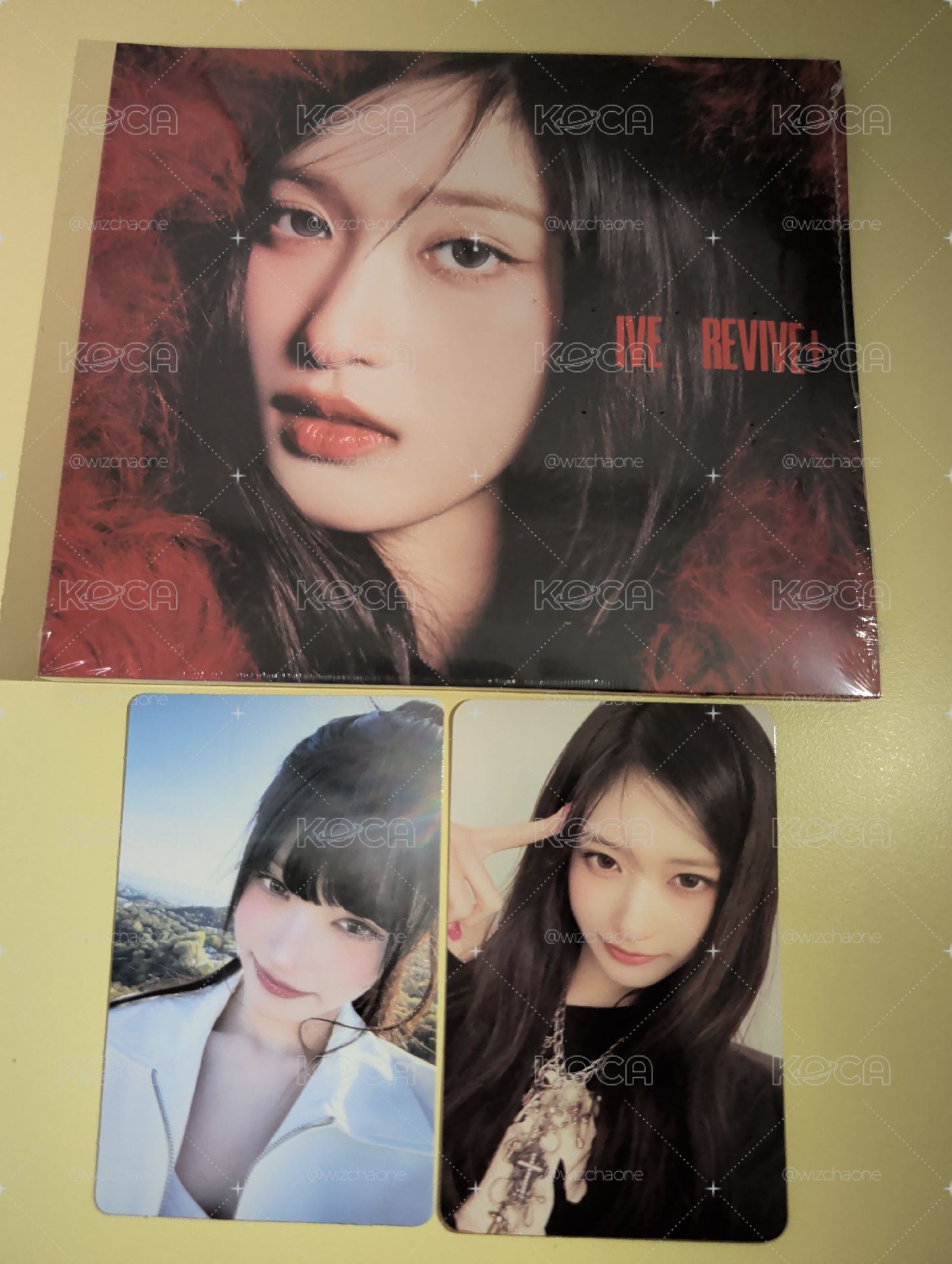 Revive+ 瑞組合