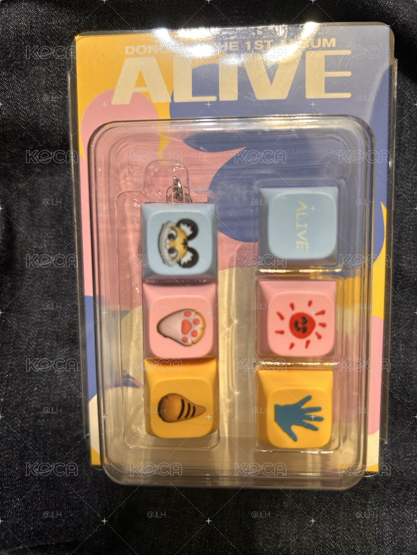 東海ALIVE 鍵帽專（空專/未掃）