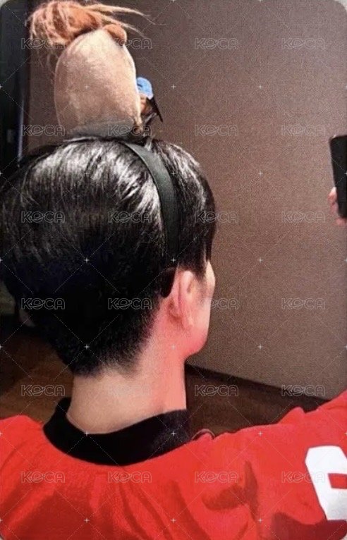 WITNESS fp 線上 簽售卡 水豚ver. 背面