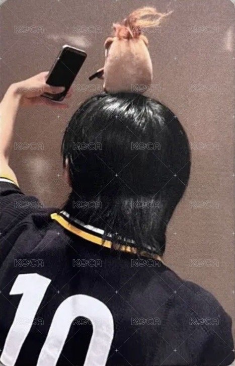 WITNESS fp 線上 簽售卡 水豚ver. 背面