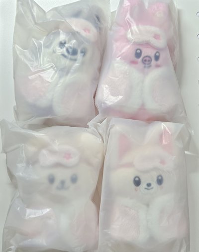 現貨 燦旻彬玟寅六期飯咪十公分娃