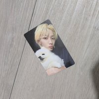 成淏