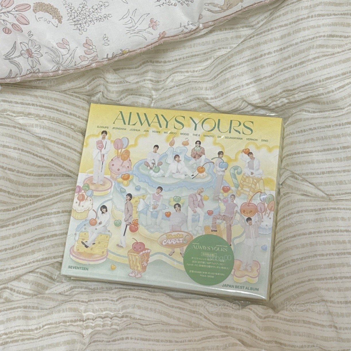 日專 🩵always yours 專輯 C ver.