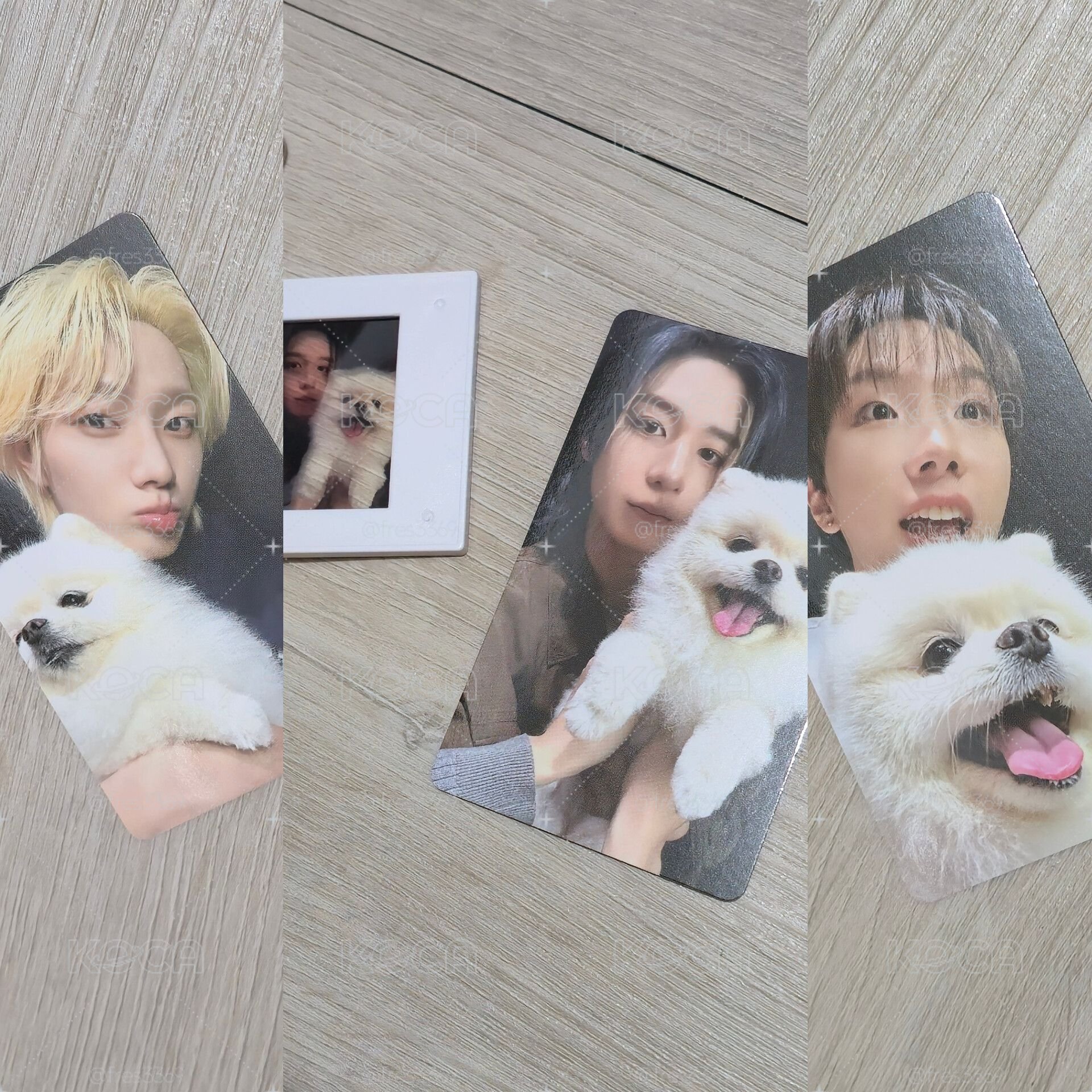 BOYNEXTDOOR 正規一輯 HOME weverse特典 狗狗卡