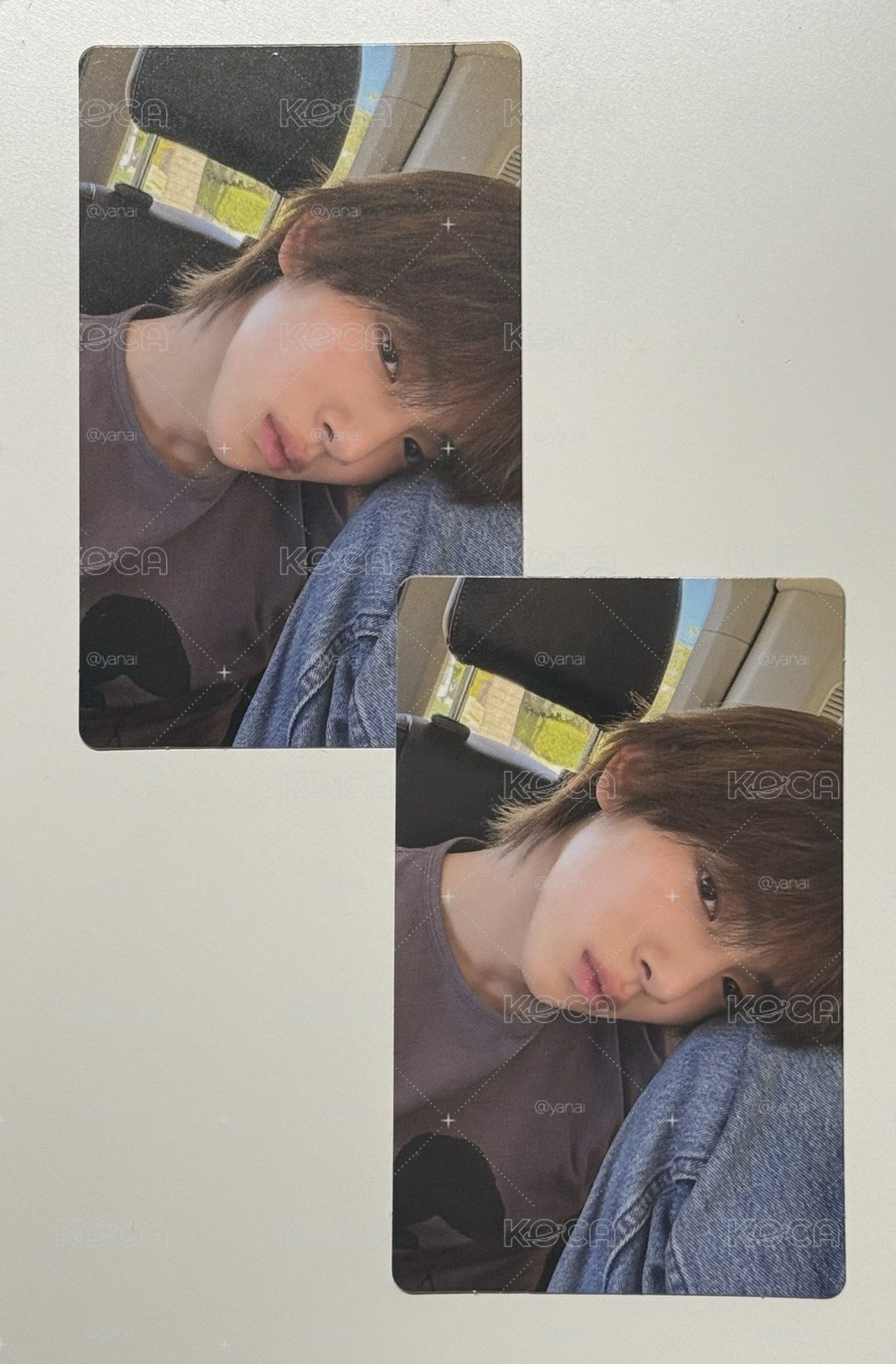 wvs訓