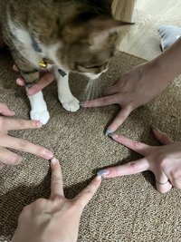 魚🐟