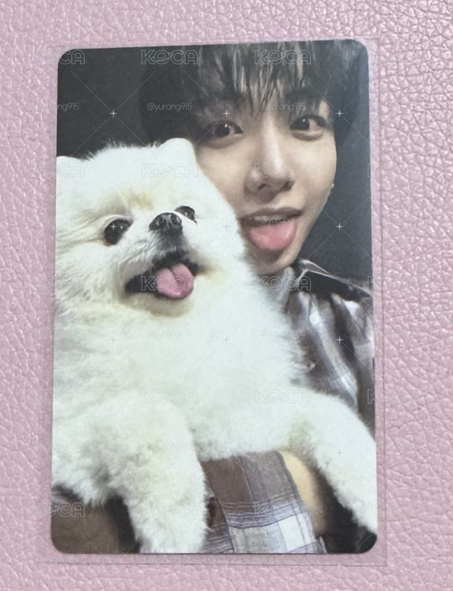 明明小狗卡🐶