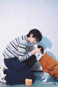 吃口曲祺亚🍪