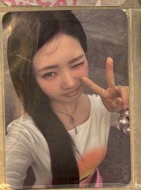 茶