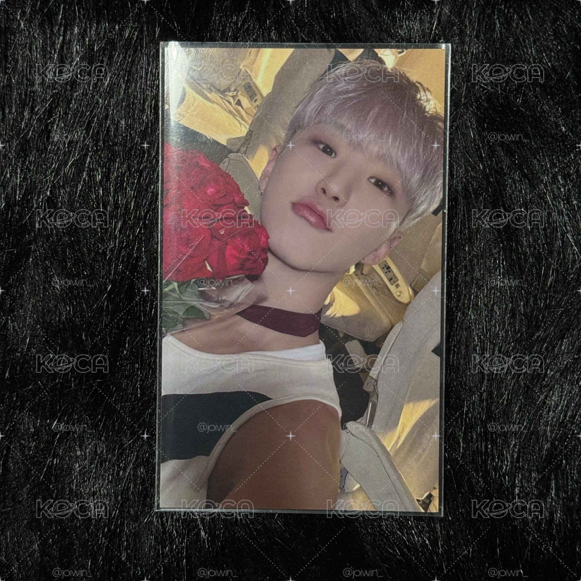 hoshi 迷十二大阪場限