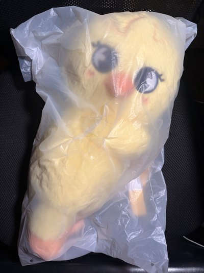 BBOKARI 側背娃