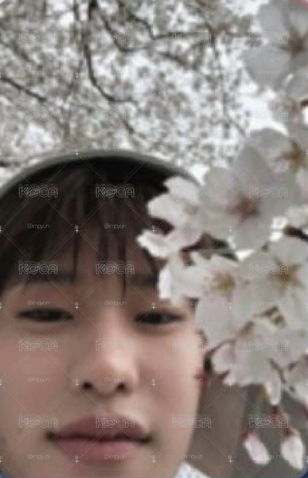 熙熙