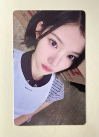 wvs 預售宇