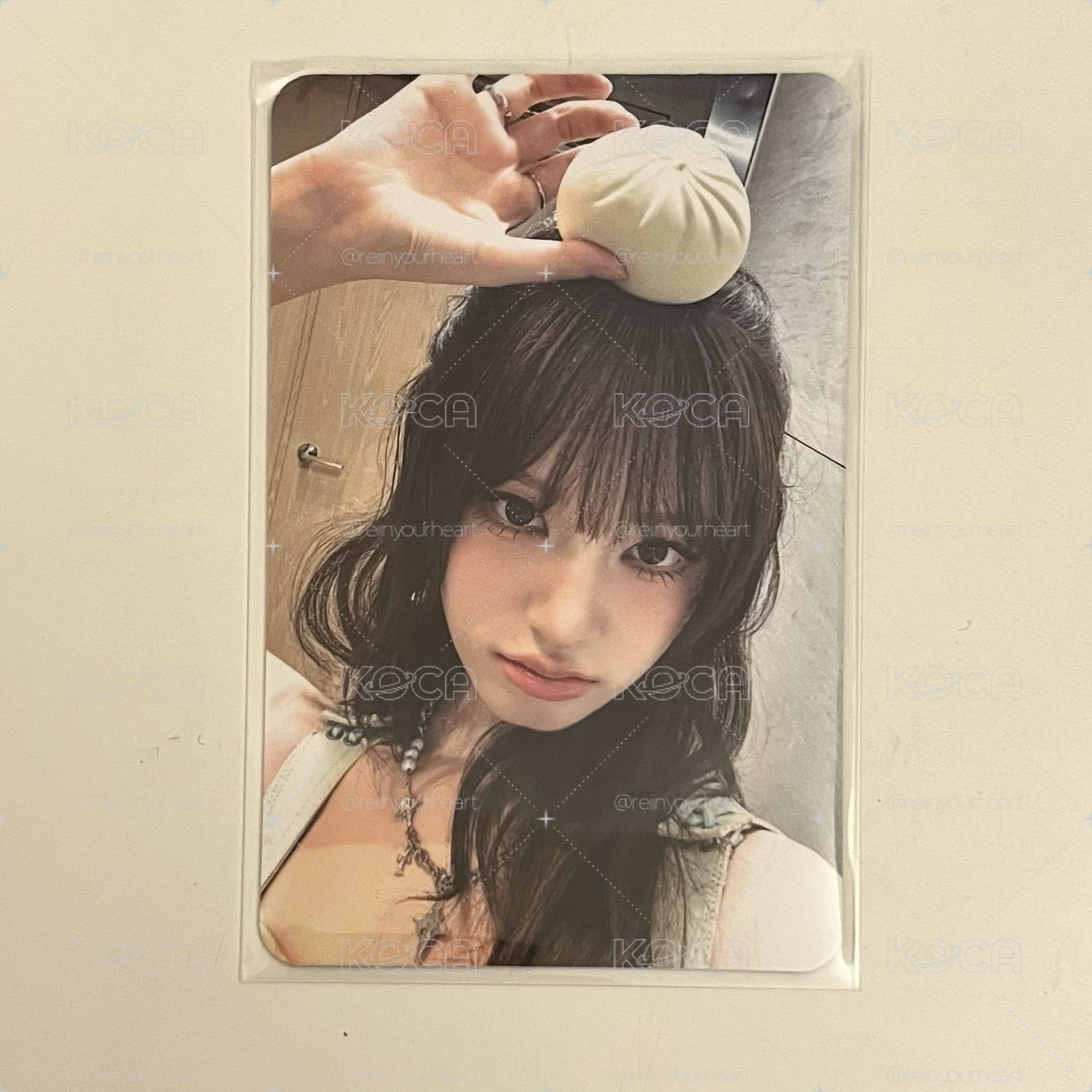 栗子星光卡⭐️中文卡背 栗子是專屬於你的貓咪🐱