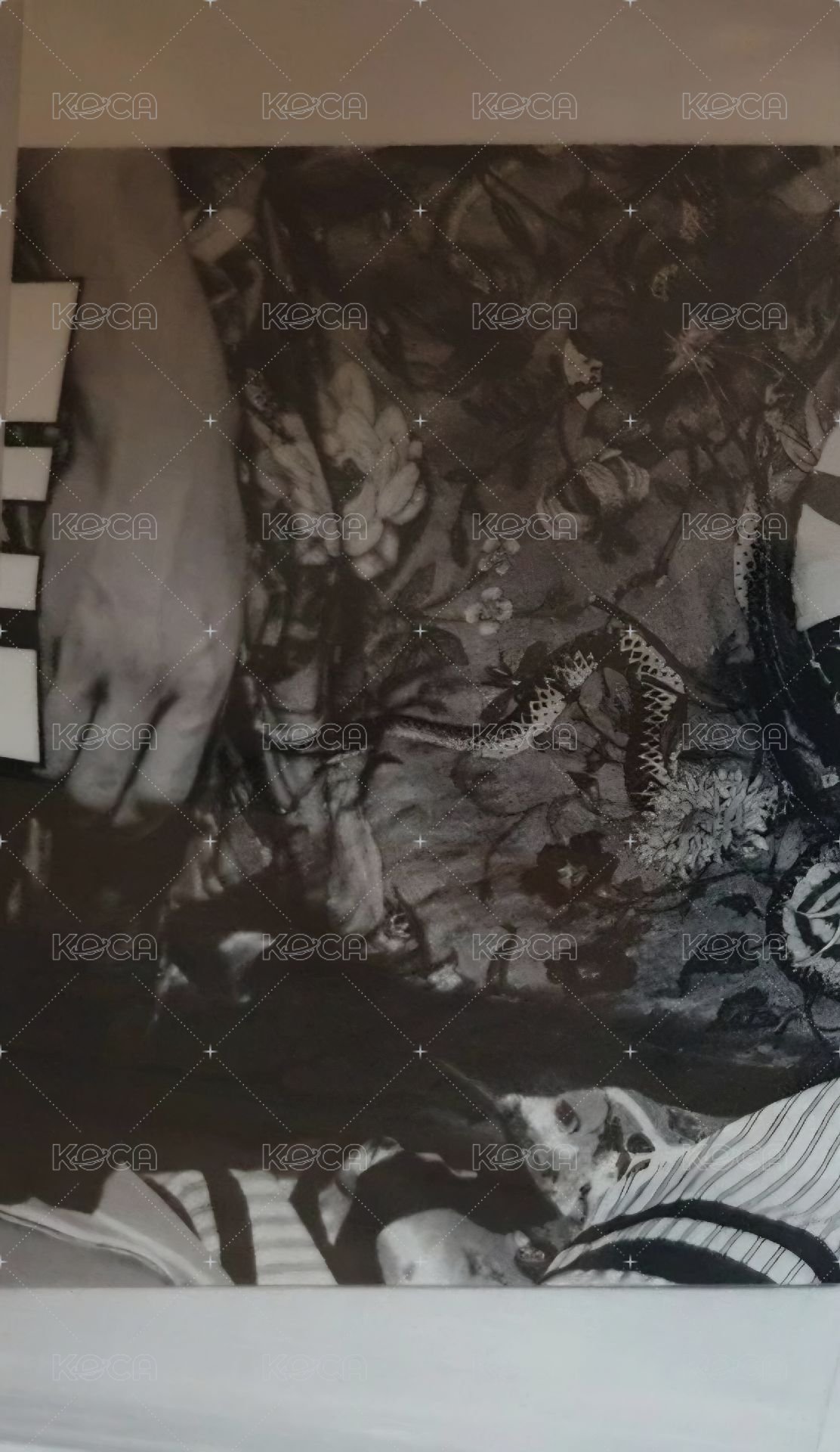 迷五 專輯卡  背面