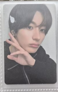 🧡翅膀髮夾🦕