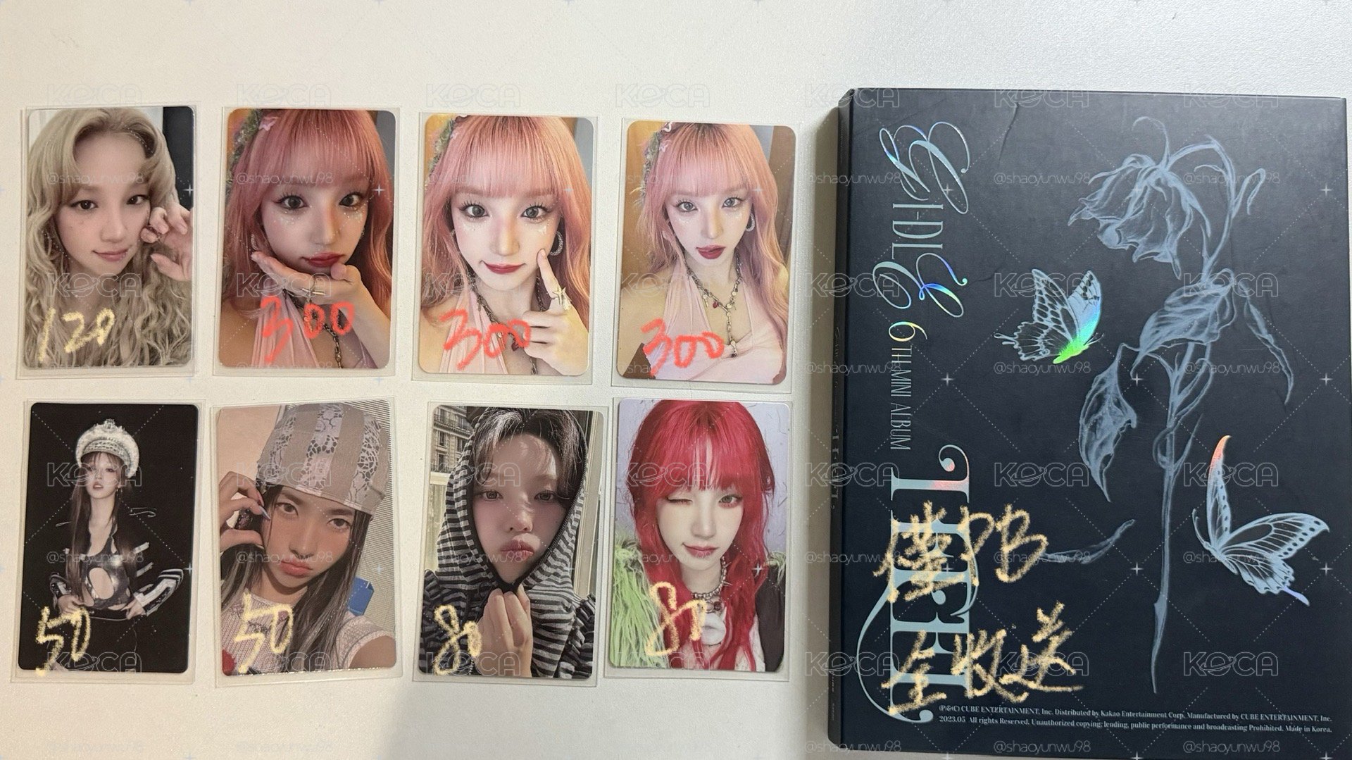 粉髮琦小盤