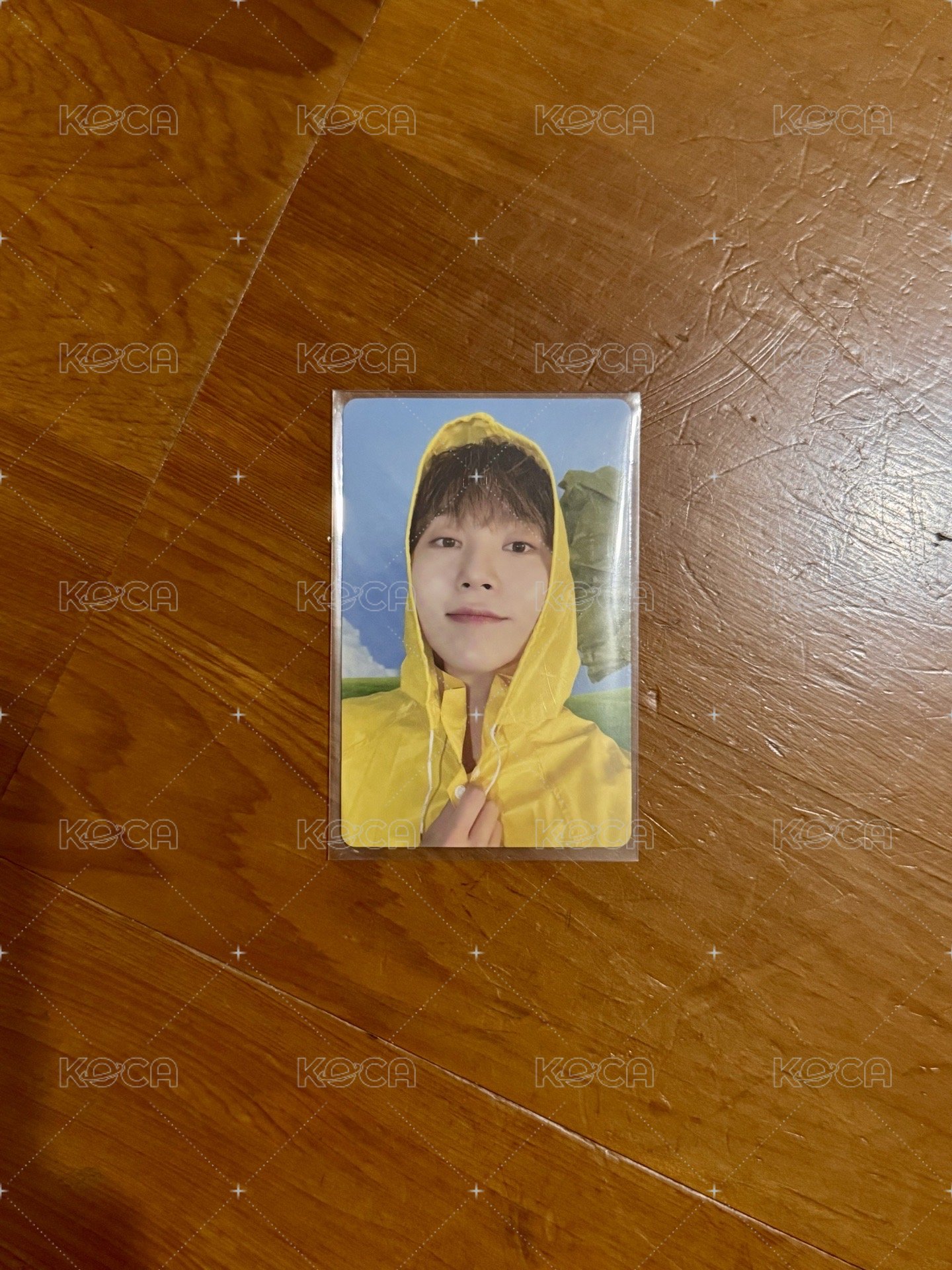 迷十一 CARAT ver. 專輯卡2