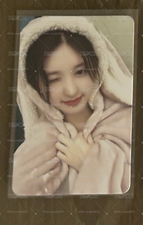 兔毯秋