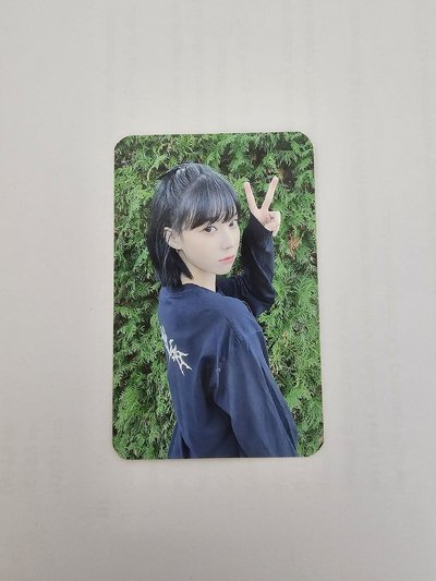 綠牆冬（有損）