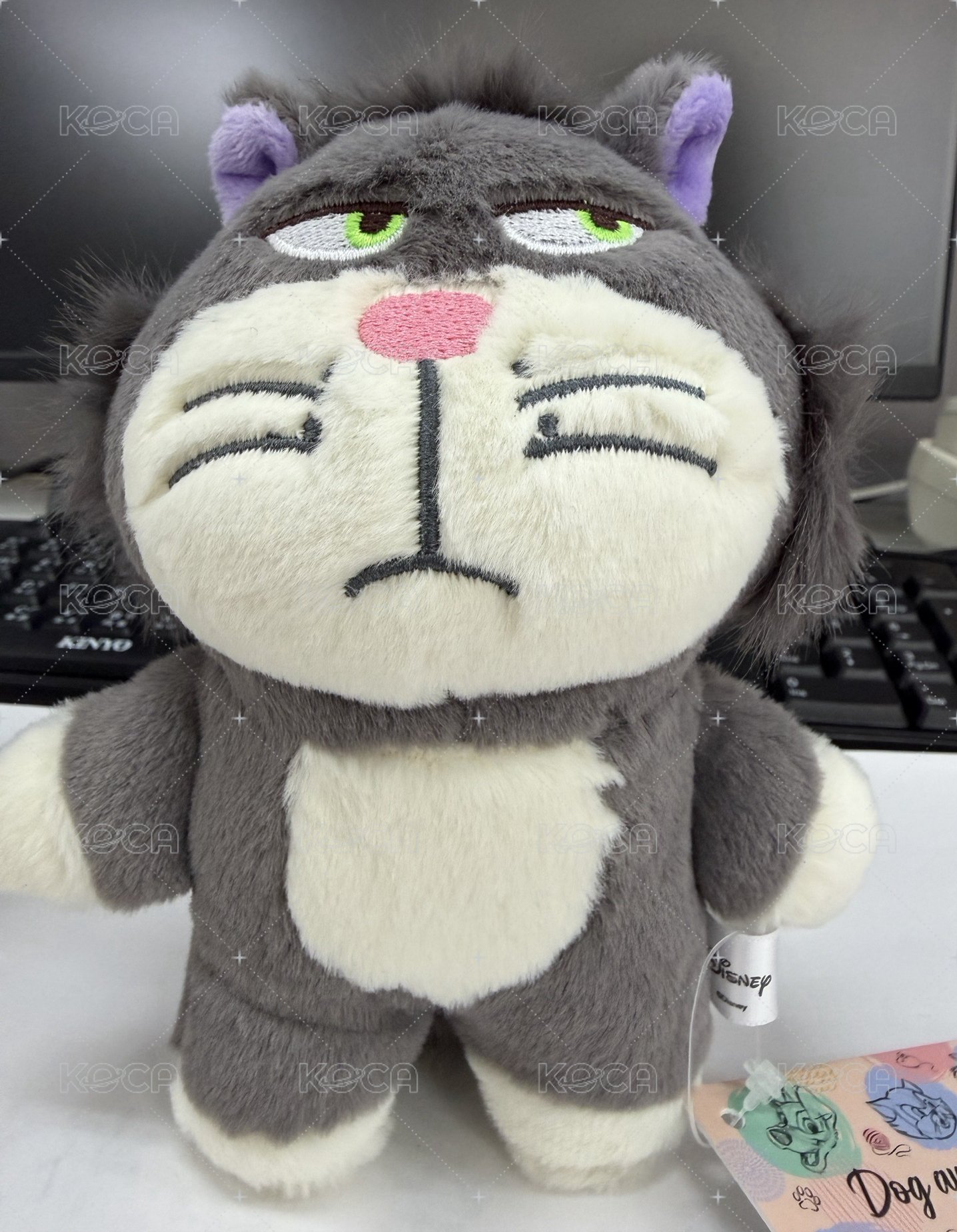 魯斯佛