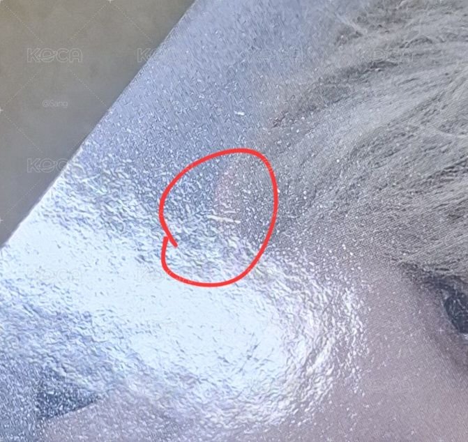 倉鼠梯子 潤傘旼鍾