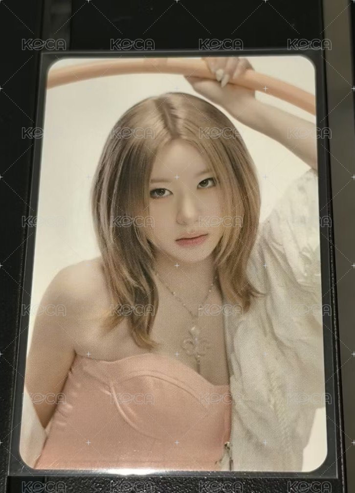 彩領