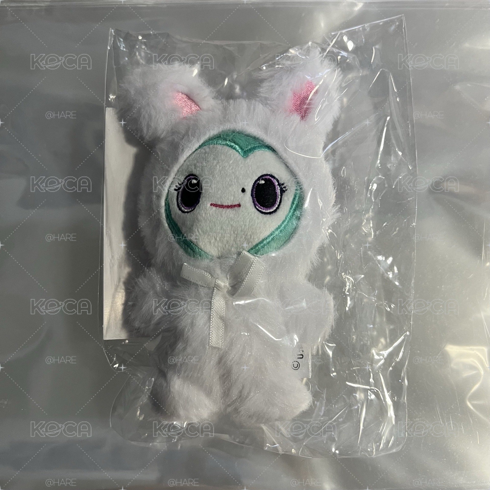 MINA 九週年卡冊含卡+PLAY兔娃