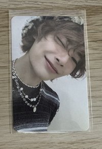 ATE毛絨寅