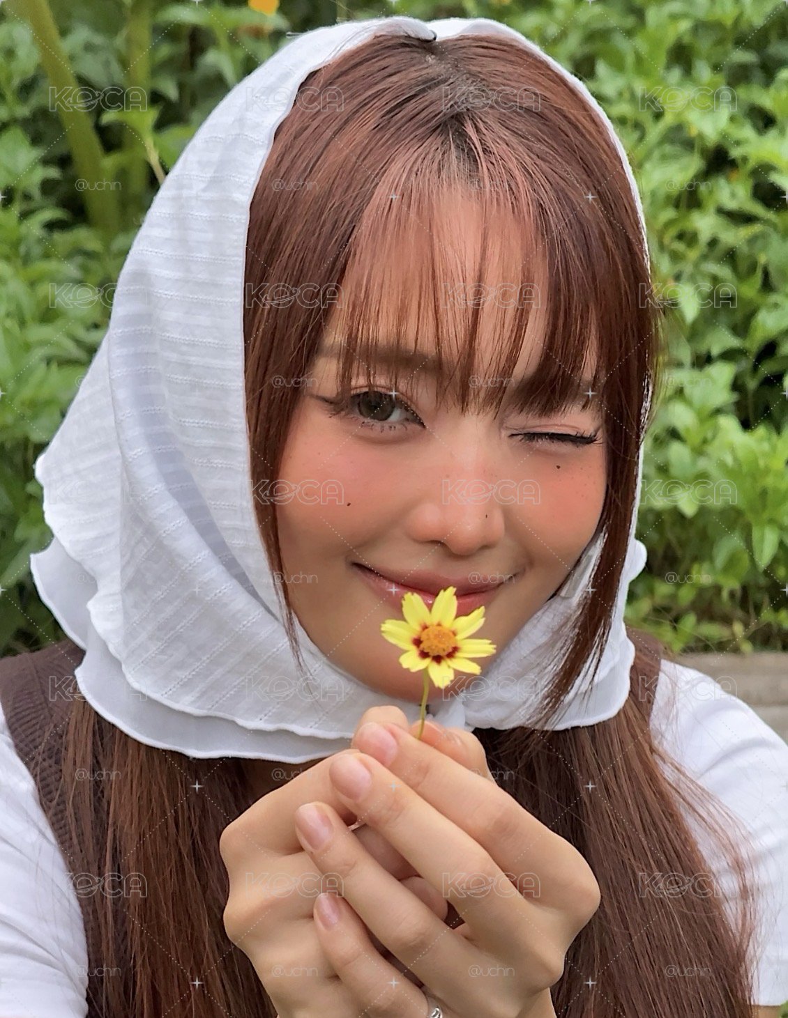 🍥妮