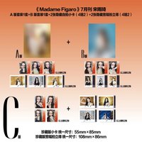 費加羅2.0 C版