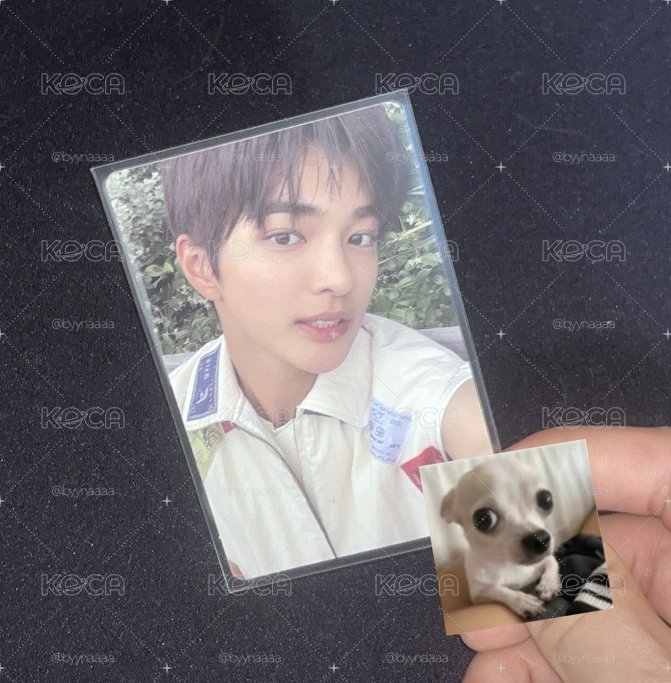 迷一美通安🐶