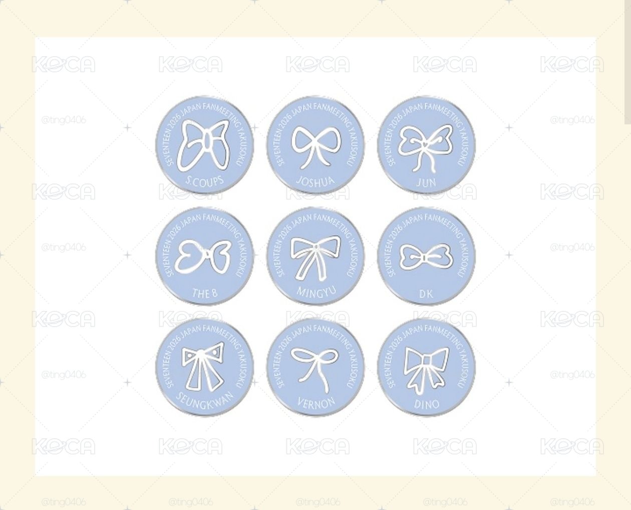Seventeen YAKUSOKU 日本飯咪蝴蝶結pin THE8