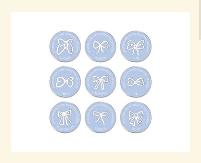 Seventeen YAKUSOKU 日本飯咪蝴蝶結pin THE8