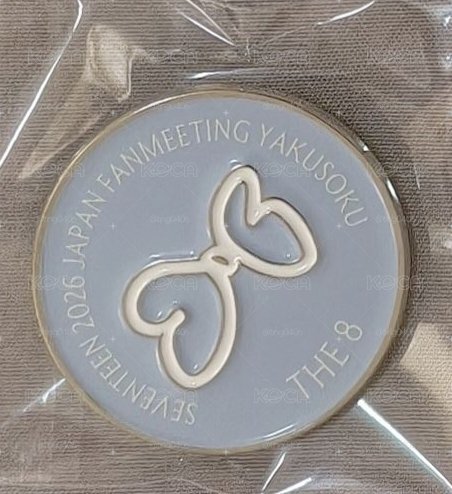 Seventeen YAKUSOKU 日本飯咪蝴蝶結pin THE8
