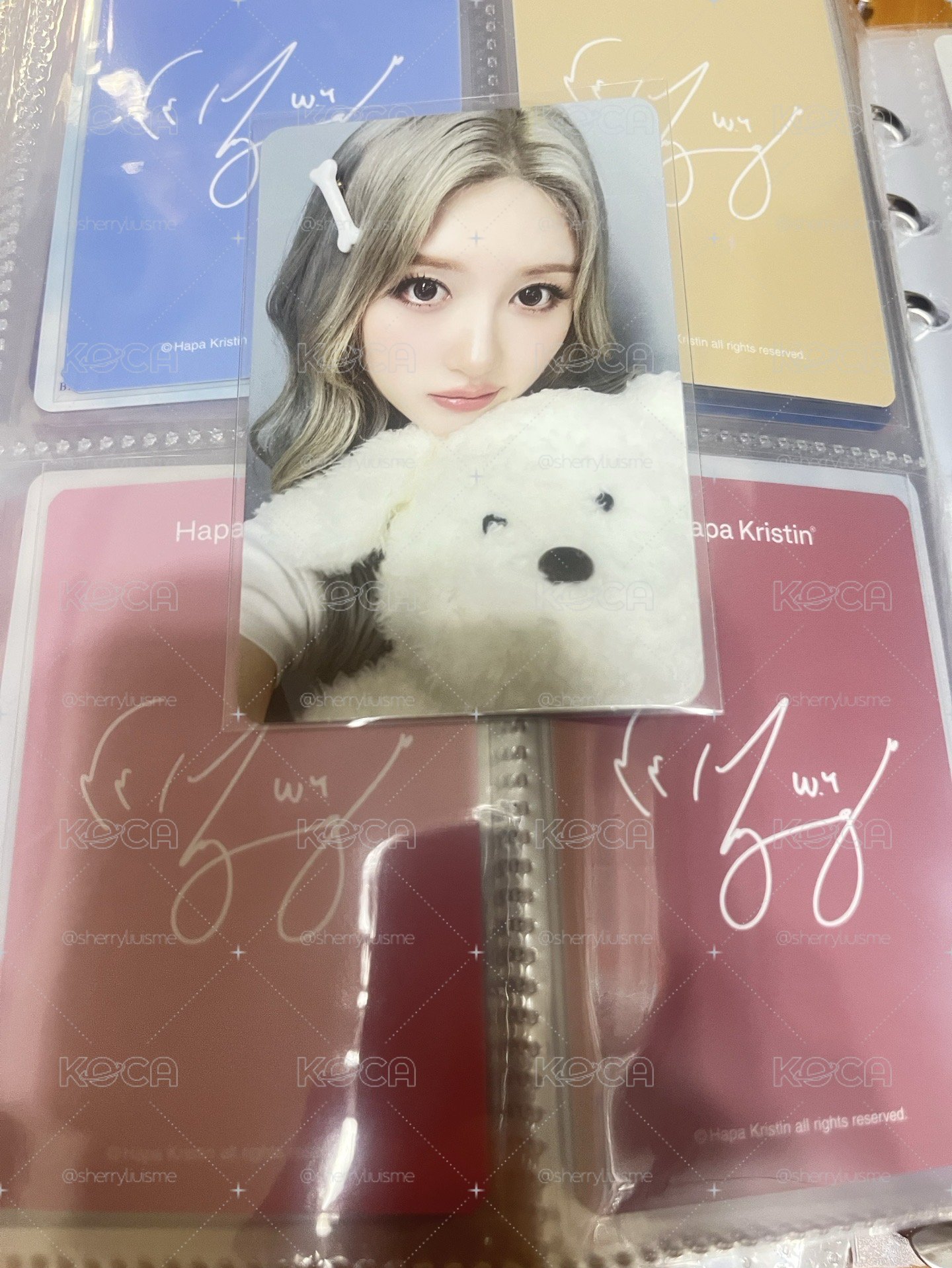 狗狗秋