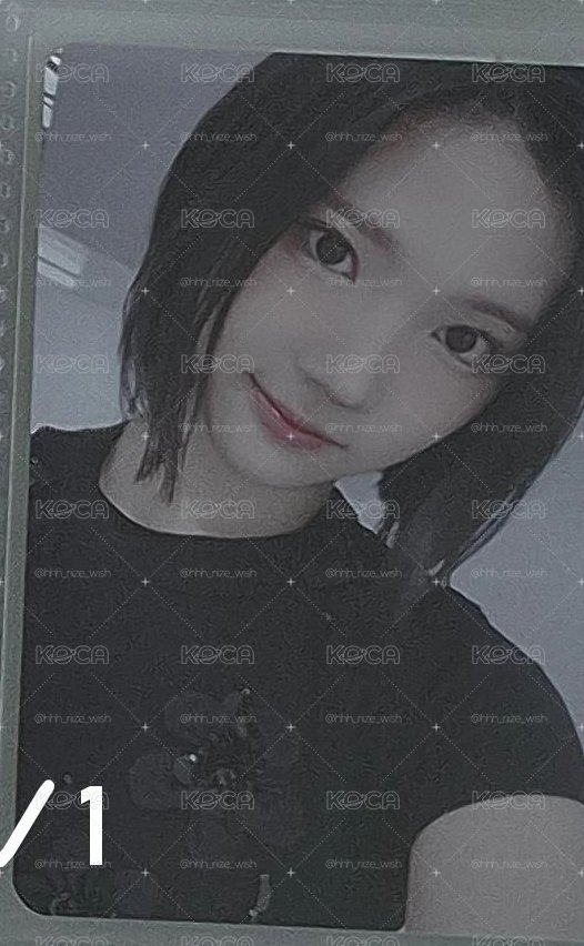 單一 ms 簽售卡 