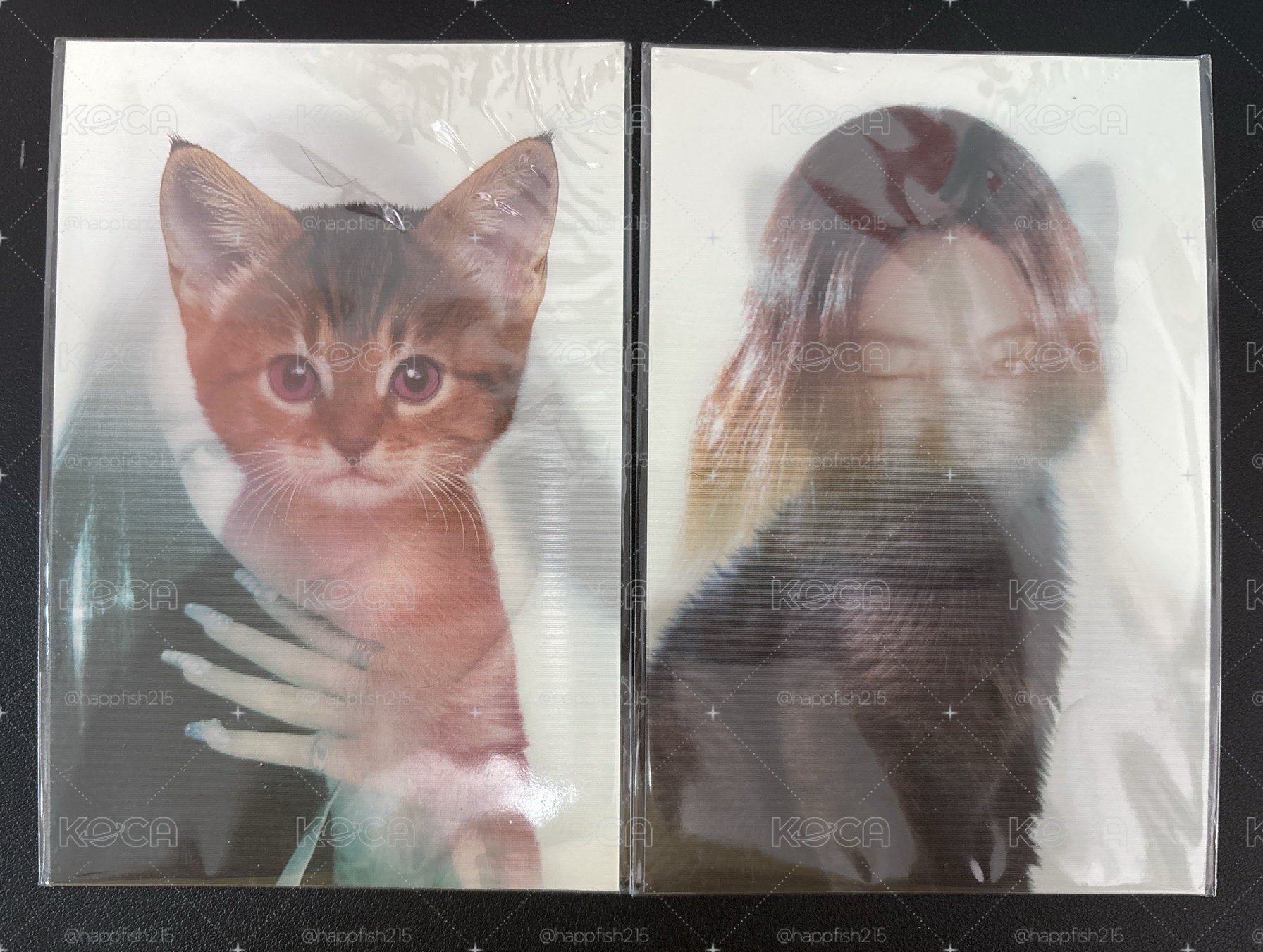 嘉Rin變化卡