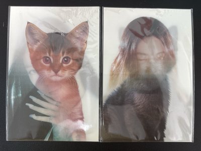 嘉Rin變化卡