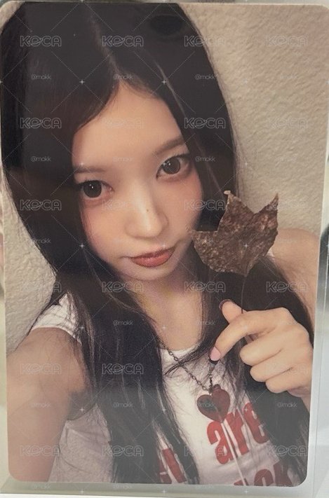 楓葉萌