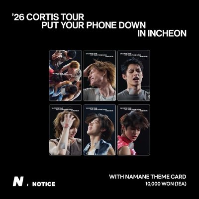 CORTIS 仁川 NAMANE卡 演唱會小卡 交通卡
